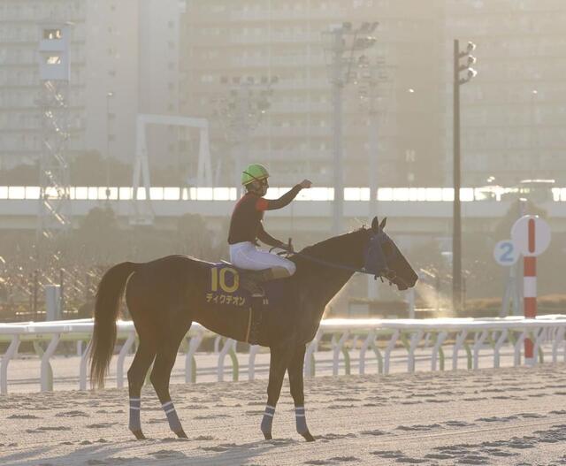 地方競馬】ディクテオンが20年ぶりに地方馬による東京大賞典制覇を達成