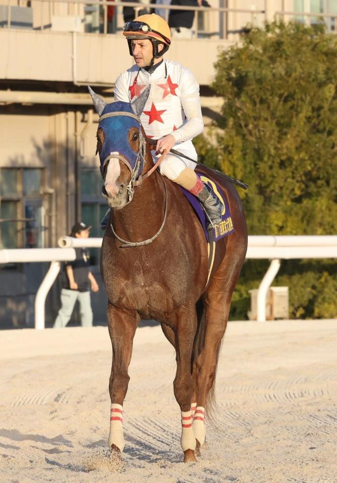 　２着に終わったミッキーファイト