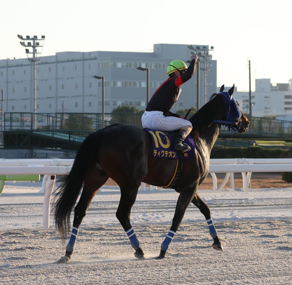 　東京大賞典を制し観衆の声援に応える矢野貴
