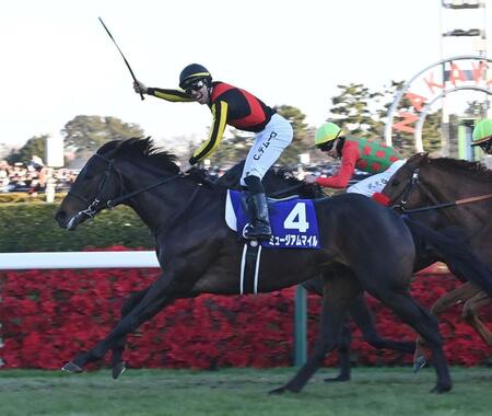 　有馬記念を制したミュージアムマイル（２８日）
