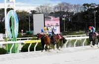 　重賞初制覇を成し遂げたゴッドフェンサー（左から３頭目）＝撮影・中山伸治