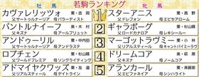 　若駒格付けランキング