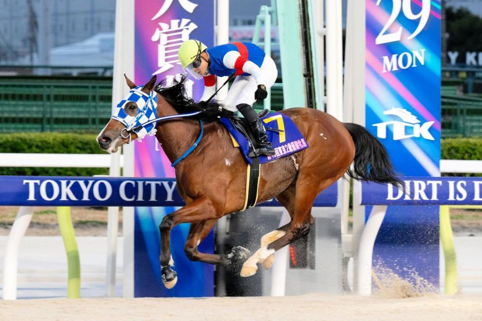 　東京２歳優駿牝馬を制したアンジュルナ（ＴＣＫ提供写真）