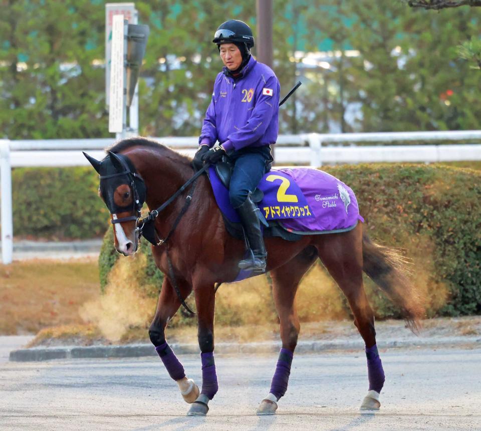 　アドマイヤクワッズ