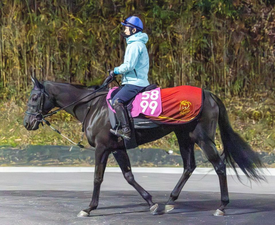 　デビューＶを目指すフォーチュンライド