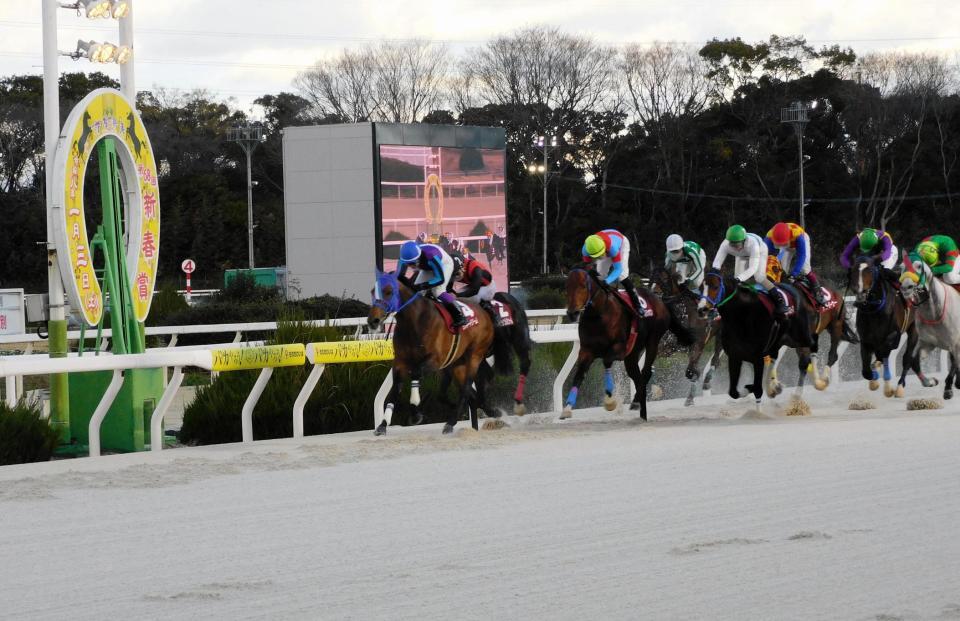 　重賞１３勝目を挙げたラッキードリーム（左）＝撮影・中山伸治