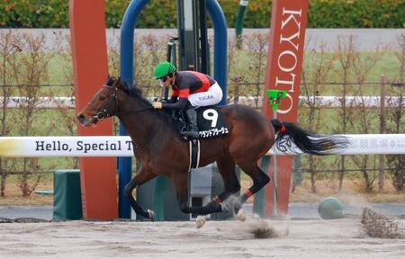 　天ケ瀬特別を制したグランドプラージュ（撮影・石湯恒介）