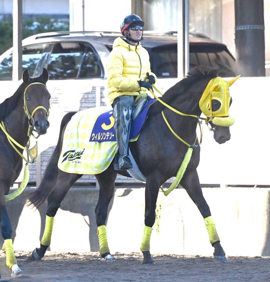 　ウィルソンテソーロ