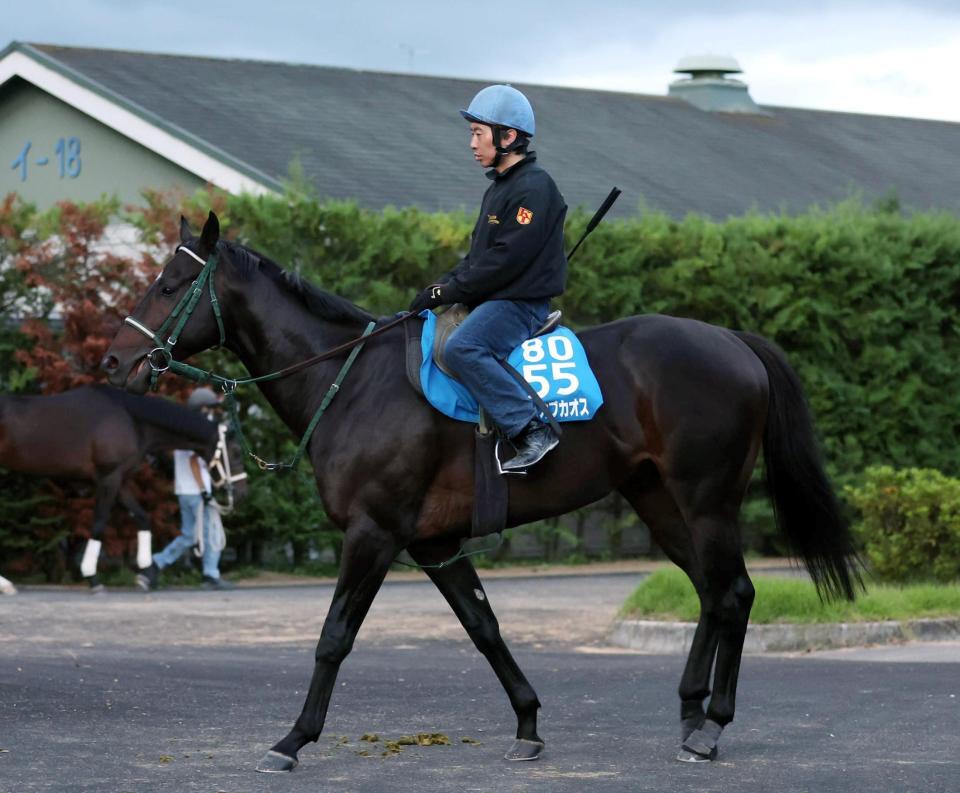 　ランスオブカオス