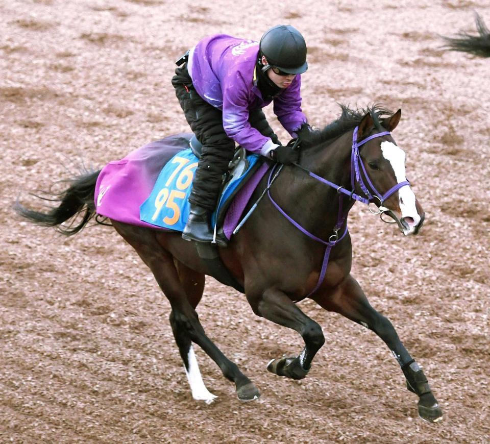 　マイネルオーシャン