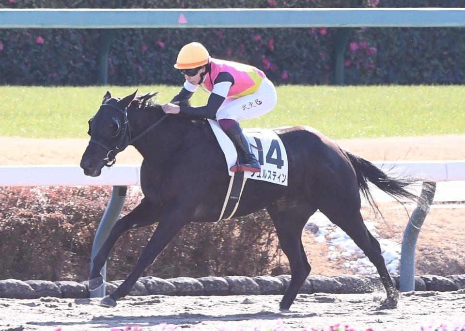 　中山１Ｒを圧勝したフュルスティン（撮影・園田高夫）