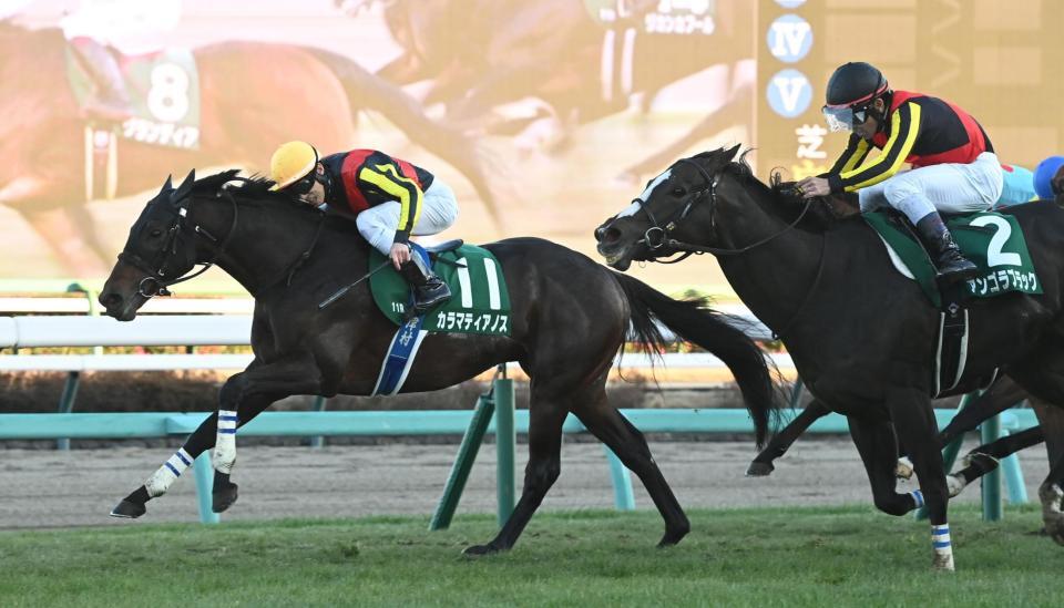 　中山金杯を勝利したカラマティアノスと津村（撮影・園田高夫）