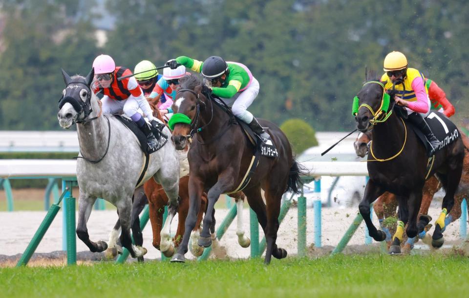 　寿Ｓを制したダガノデュード（中央）＝撮影・石湯恒介