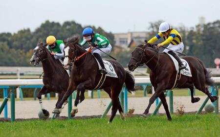 　新馬戦を快勝したタイキルッジェーロ（中央）＝撮影・石湯恒介