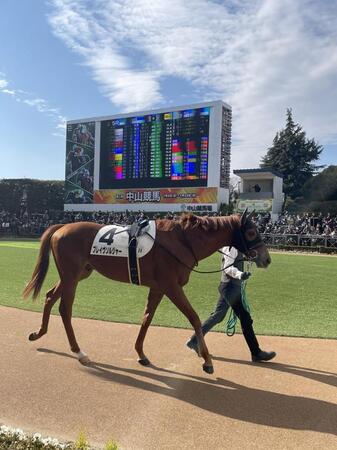 　ドラマ「ザ・ロイヤルファミリー」でロイヤルファミリー役を演じたブレイヴソルジャー