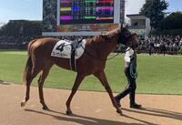 　ドラマ「ザ・ロイヤルファミリー」でロイヤルファミリー役を演じたブレイヴソルジャー