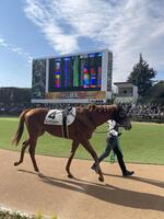 　ドラマ「ザ・ロイヤルファミリー」でロイヤルファミリー役を演じたブレイヴソルジャー