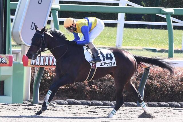 　新馬戦を勝利したエアサロメ（撮影・園田高夫）