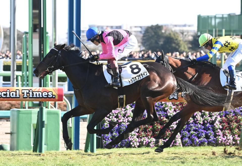 　新馬戦を制したトップオブザライン（撮影・園田高夫）