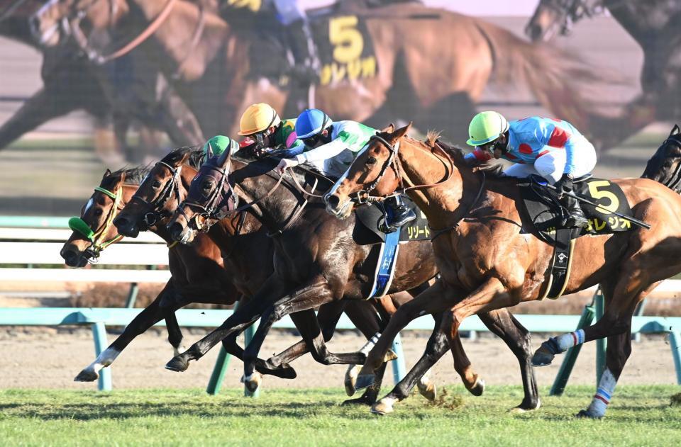 　ジュニアＣを制したリゾートアイランド（右から２頭目）＝撮影・園田高夫