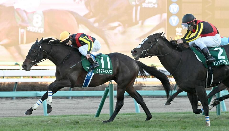 　大接戦を制したカラマティアノス（撮影・園田高夫）