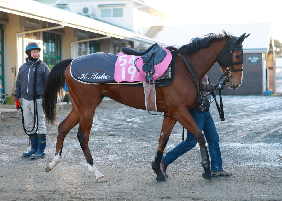 　初のマイルで重賞Ｖを狙うブラックチャリス