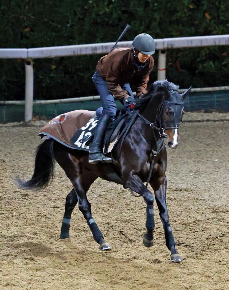 　データ班がイチ推しするアルトラムス