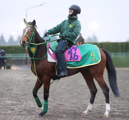 　デビュー２戦目で重賞初挑戦初Ｖを狙うファンクション