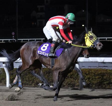 タイガースカラーのメンコをかぶるモコパンチ