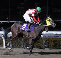 タイガースカラーのメンコをかぶるモコパンチ