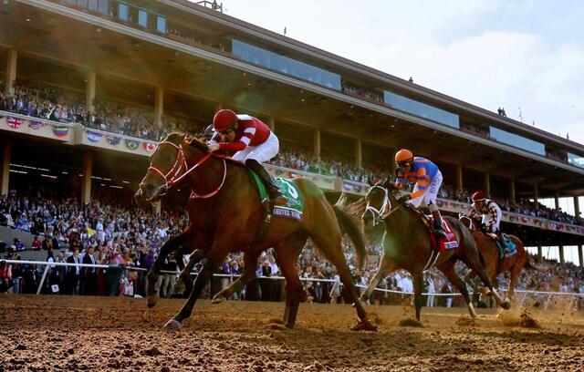 フォーエバーヤング ダート馬史上初！年度代表馬に選出 日本調教馬初の