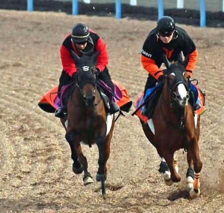 　美浦Ｗで軽快な走りを見せたノーザンタイタン（左）＝撮影・持木克友