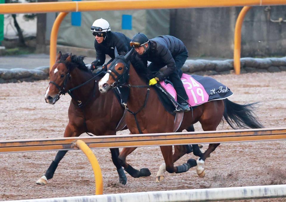 　スピード満点の動きで先着したブラックチャリス（右）＝撮影・石湯恒介