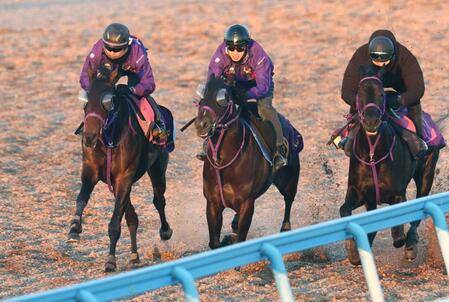 　３頭併せで追われるサンアントワーヌ（左）