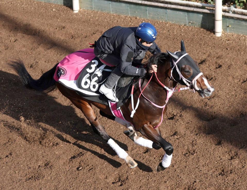 　順調に反撃態勢を整えたバルセシート（撮影・中田匡峻）