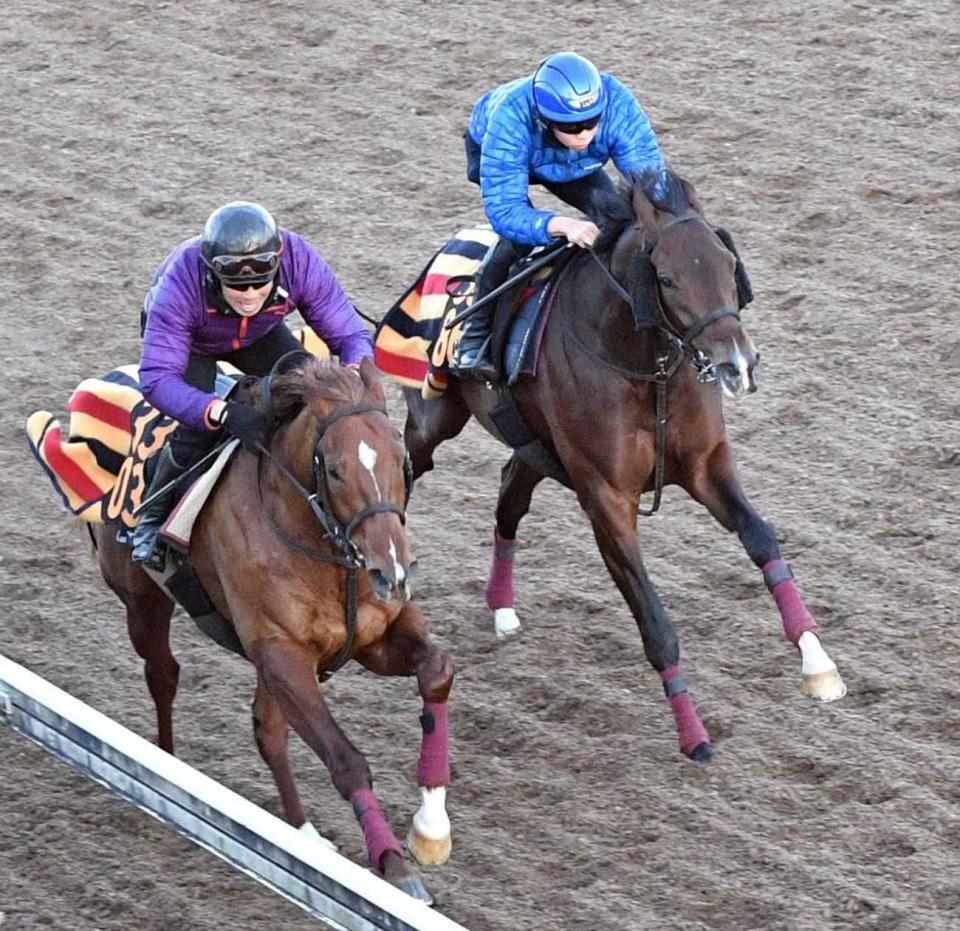 　意欲的な内容で追われたモノポリオ（右）＝撮影・持木克友