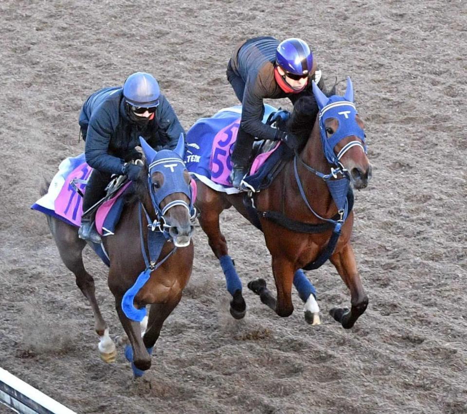 　美浦坂路で軽快な走りを見せたディアダイヤモンド（右）