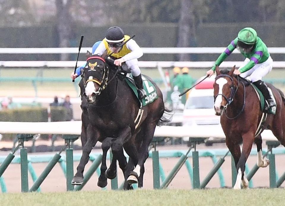 昨年の京成杯＝勝ち馬ニシノエージェント（左）