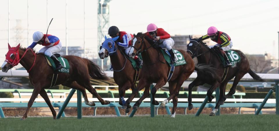 　レオアジャイル（左端）をかわすブラックチャリス（右から２頭目）。左から２頭目はビッグカレンルーフ