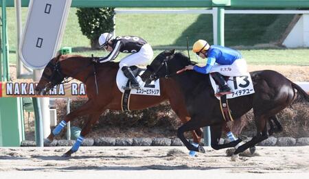 　アイデアユーを振り切ったエスシービクトリア（左）