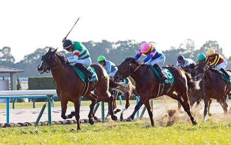 　内から鋭く伸びるサンダーストラック（左）＝撮影・石湯恒介
