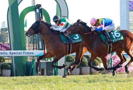 　内をついて鋭く伸びるサンダーストラック（左）＝撮影・石湯恒介