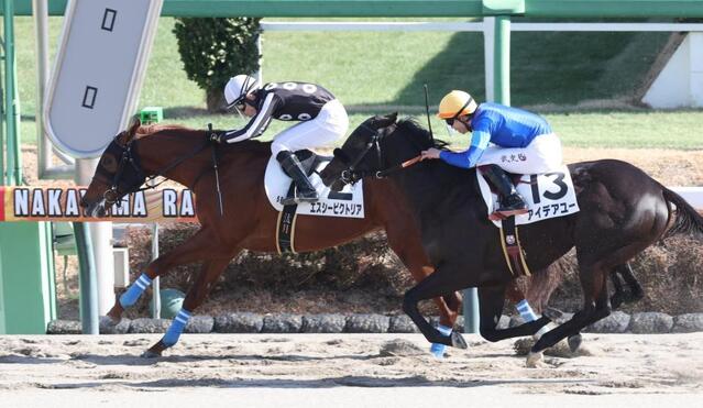 　アイデアユーを振り切ったエスシービクトリア（左）