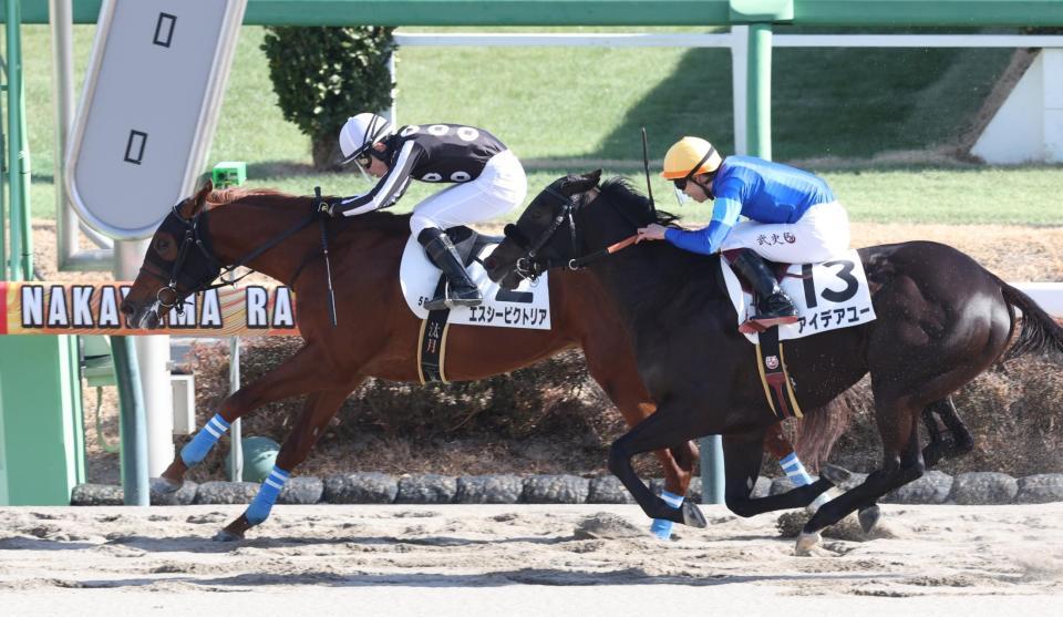 　アイデアユーを振り切ったエスシービクトリア（左）