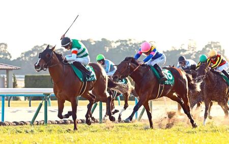 　内から鋭く伸びたサンダーストラック（左）＝撮影・石湯恒介