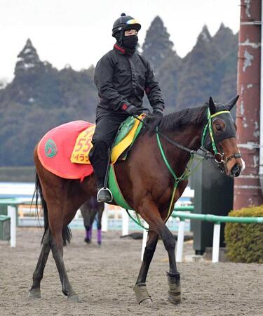 　有馬記念除外のうっぷんを晴らしたいライラック