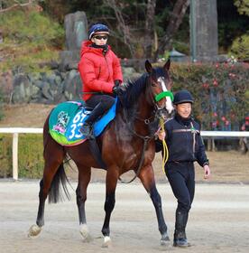 　データ班が推奨するゲルチュタール