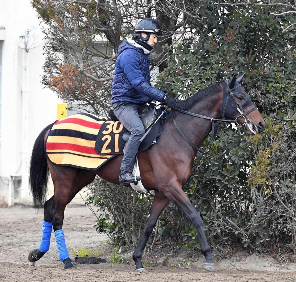 　３連勝での重賞初Ｖを狙うアッカン