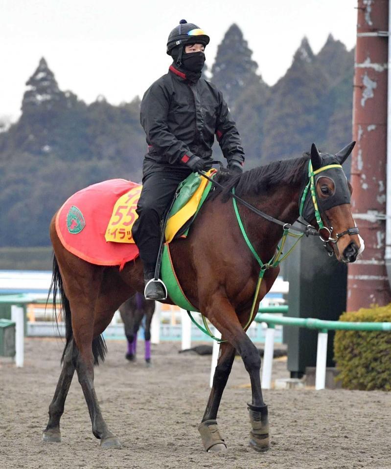　有馬記念除外のうっぷんを晴らしたいライラック