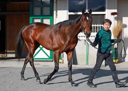 　陣営も素質を高く評価するアクセス